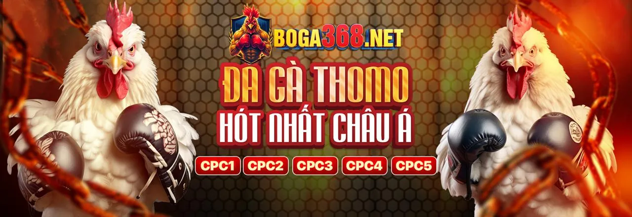 Tài khoản C54 bị khóa