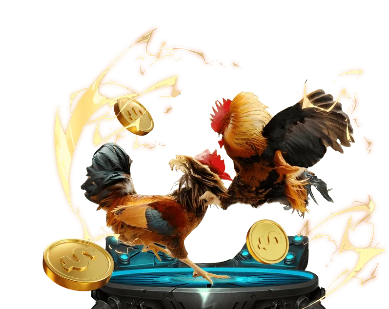 Đội ngũ c54 đang làm việc để thực hiện sứ mệnh